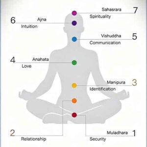Chakra chart of 7 human energy chakras, Third Eye Chakra Ajna matched with natural Amethyst for crystal healing & intuition boost